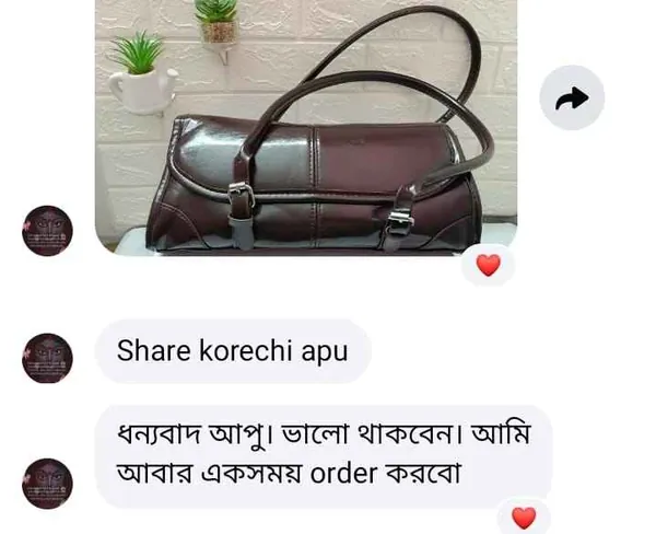 Customer photo of her brown Glowbagh bag, and in Bangla: Thank you apu, I will order again sometime.
